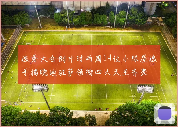 选秀大会倒计时两周14位小绿屋选手揭晓迪班萨领衔四大天王齐聚
